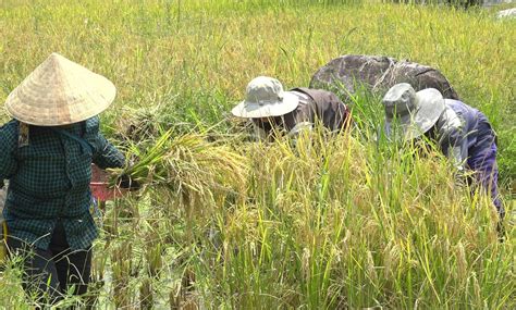  Bảo tàng Di tích Hoàng đế Phủ – Một không gian lịch sử ấn tượng và bí ẩn!